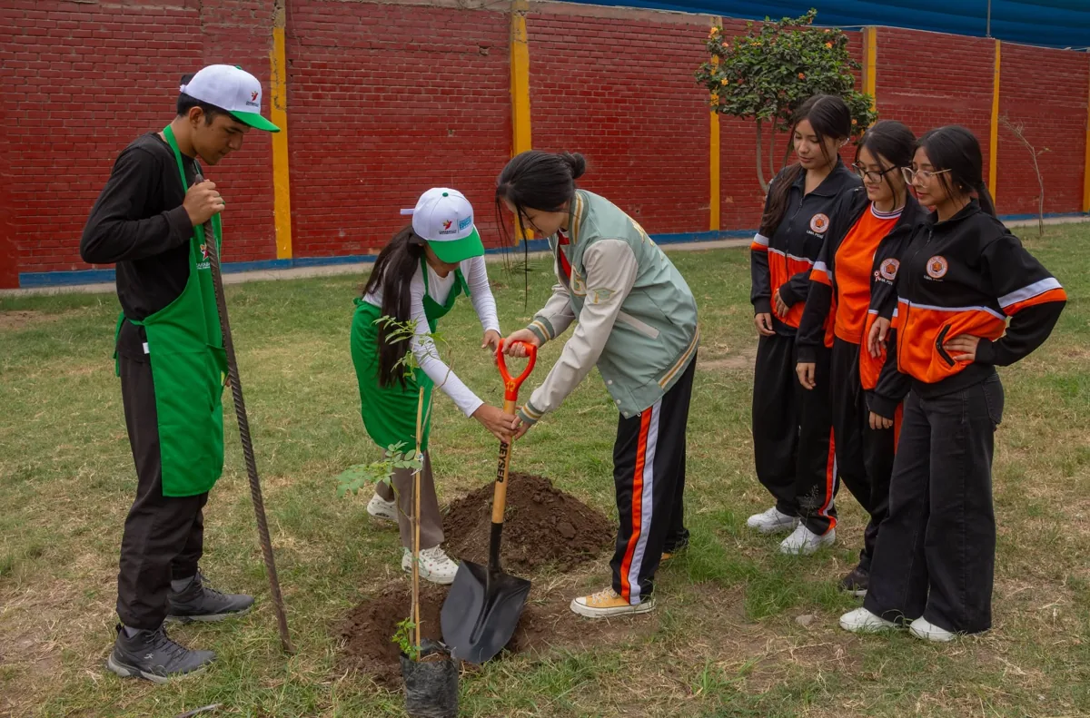 Estudiantes de Secundaria colaborando en una actividad de arborización en Carabayllo