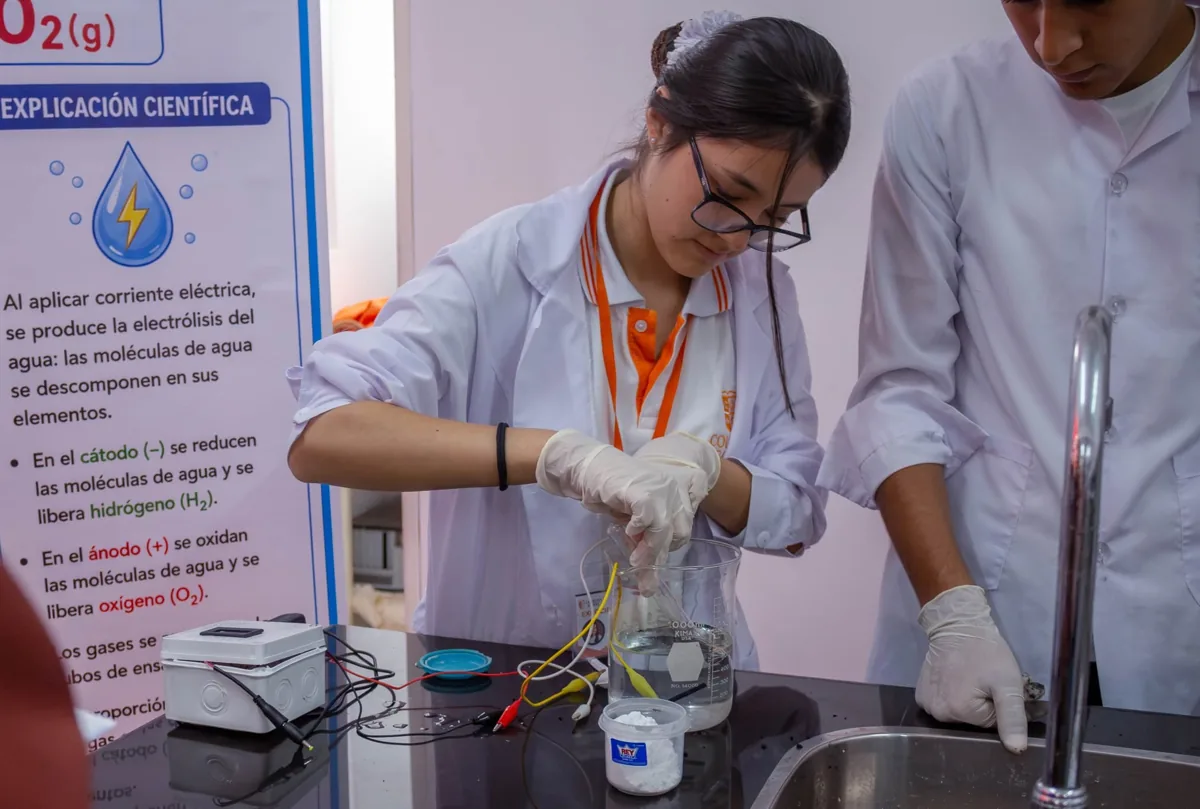 Proyecto presentado por estudiantes de Secundaria en Expociencia